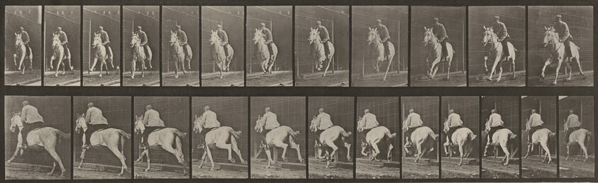 Plate Number 630. "Pandora" galloping, saddled