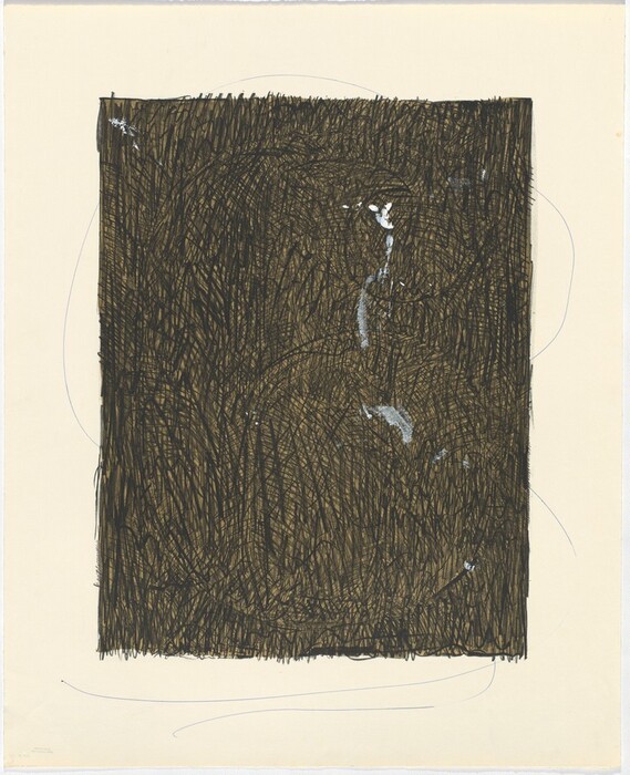 The image shows a dense patchwork of intersecting lines creating a rectangular shape. The interior is filled with dark lines intersecting in various directions. The abstract composition resembles a tangled forest or woven fabric, with irregular line thickness and direction adding texture and complexity. Small patches of lighter tones are scattered within the web. Thin, sweeping lines extend beyond the dark rectangle, reaching towards the edges of the canvas.