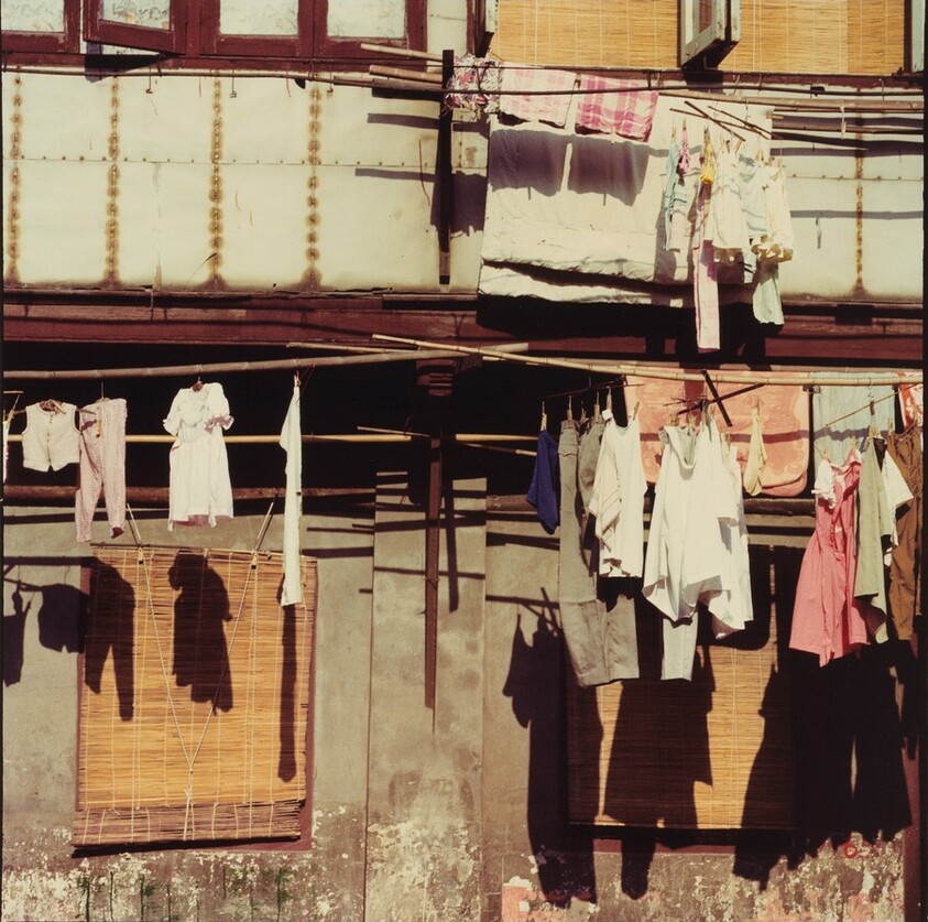 Study for Chinese Summerhall