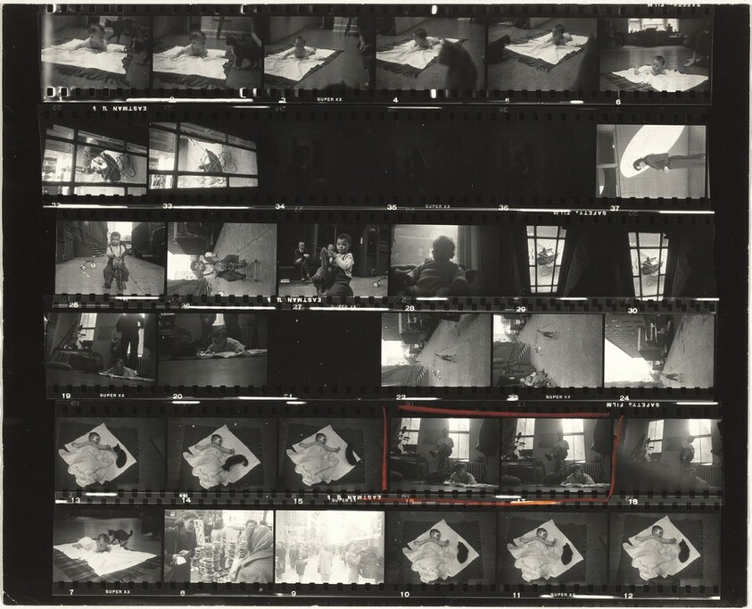 Pablo--Children and family 3