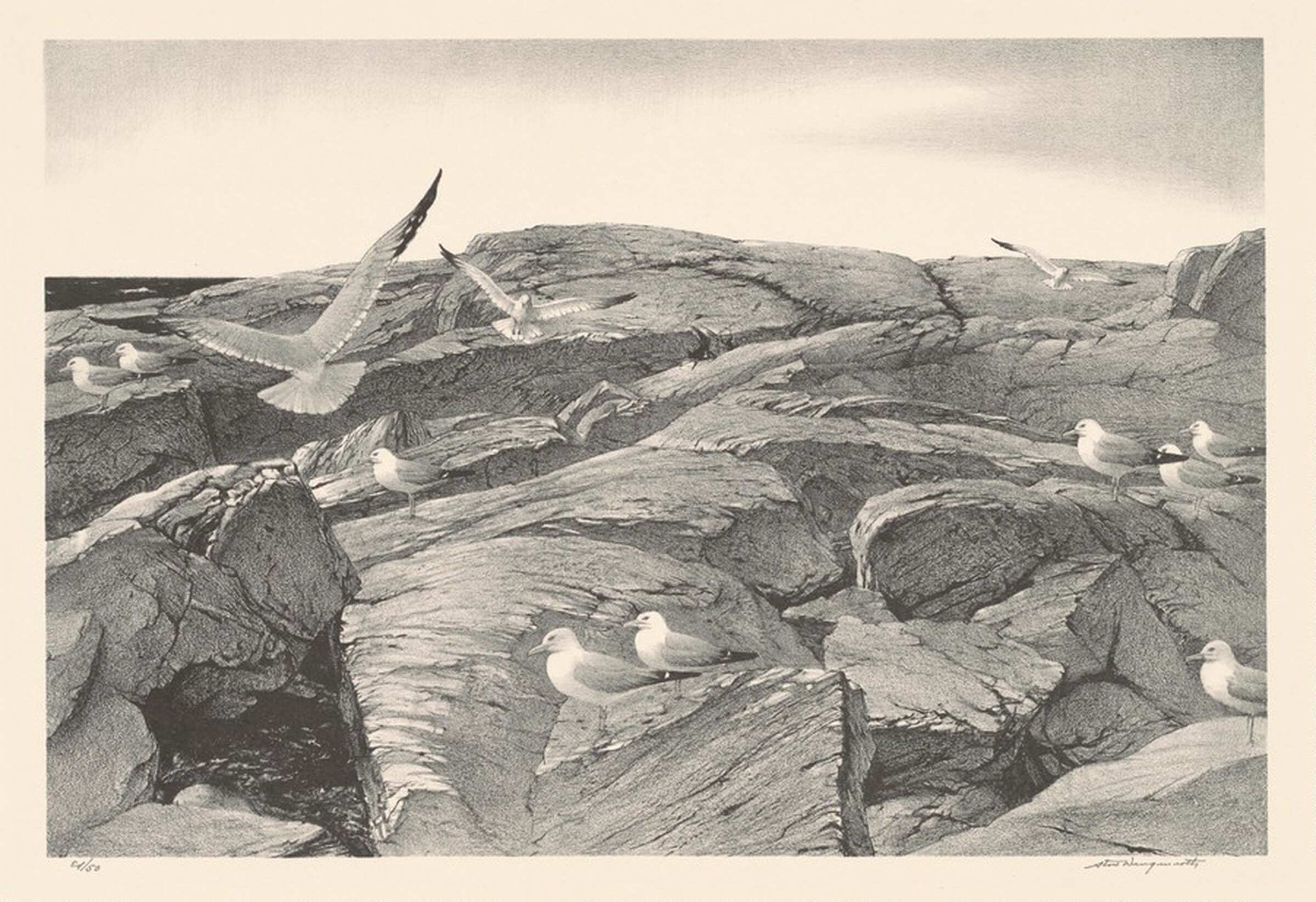 The Outer Shore, Stow Wengenroth, 1954