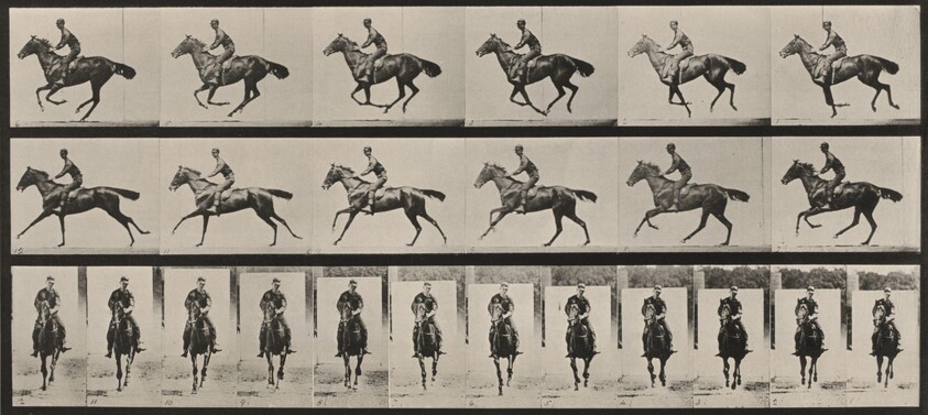 Plate Number 632. "Bouquet" galloping, saddled