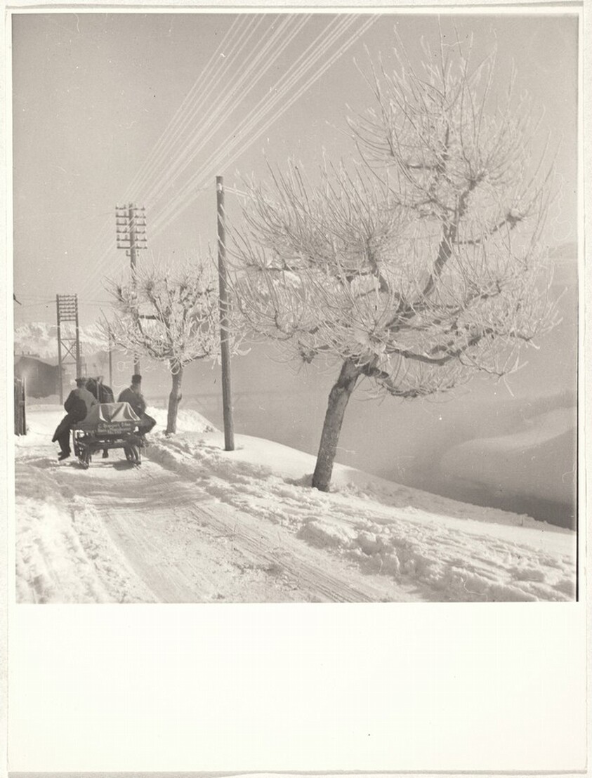 Farm sleigh on road to Zermatt--40 Fotos
