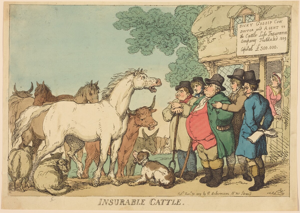 Insurable Cattle