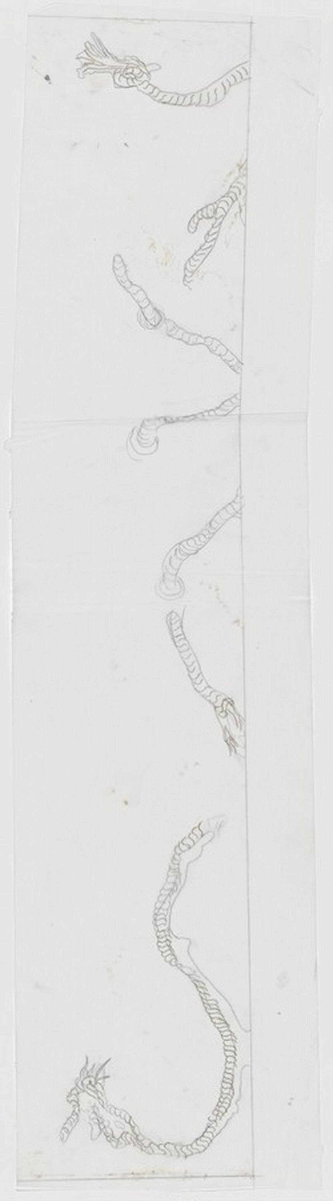 Pontchartrain [preparatory drawing for panel C]