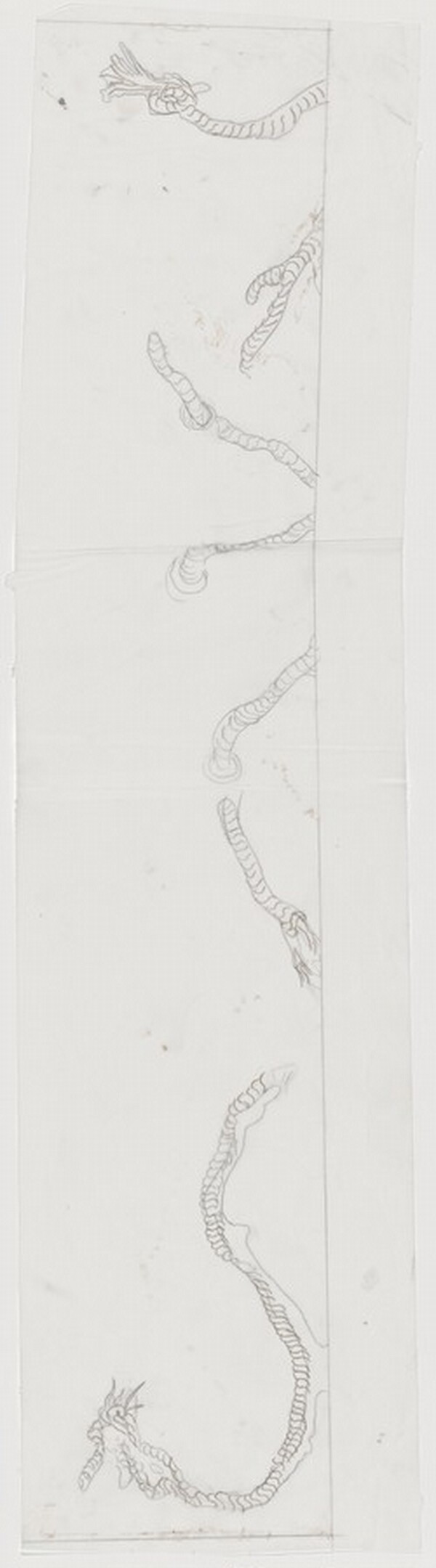 Pontchartrain [preparatory drawing for panel C]