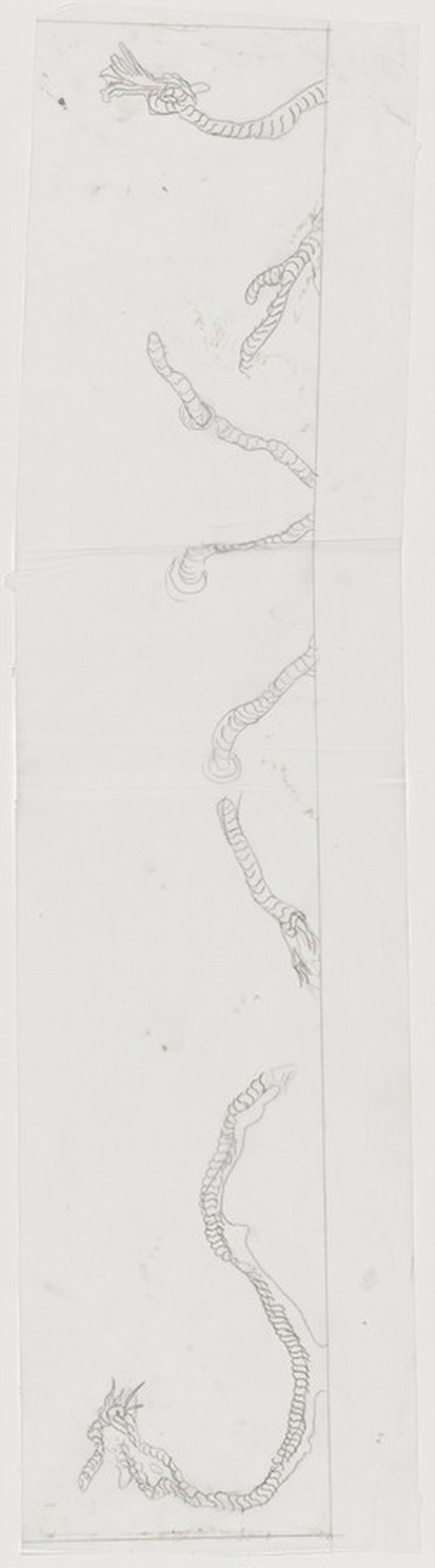 Pontchartrain [preparatory drawing for panel C]