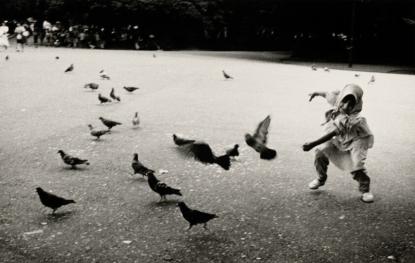 Niña con palomas, Japan (Girl with Pigeons, Japan)
