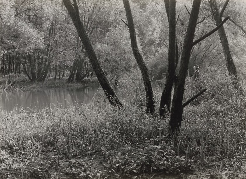 Angler im Möhnedschungel, Westfalen (Angler in Möhne jungle, Westphalia)