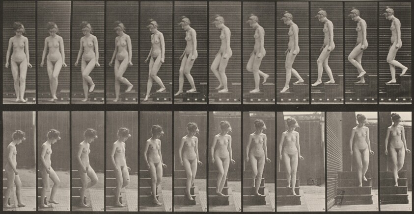 Plate Number 137. Descending stairs and turning around