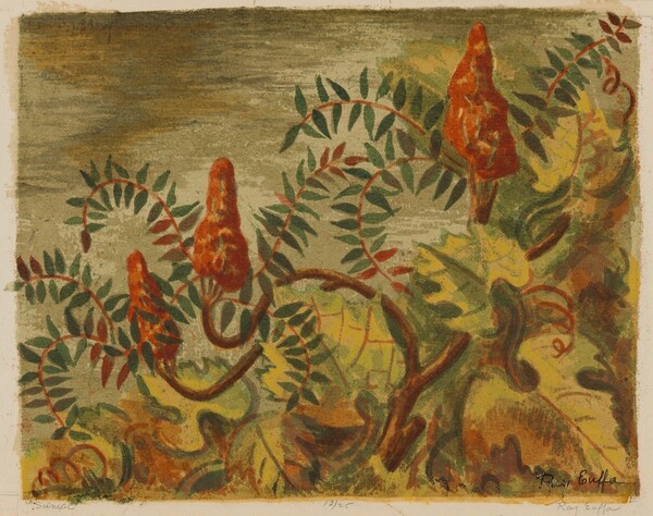 Sumac