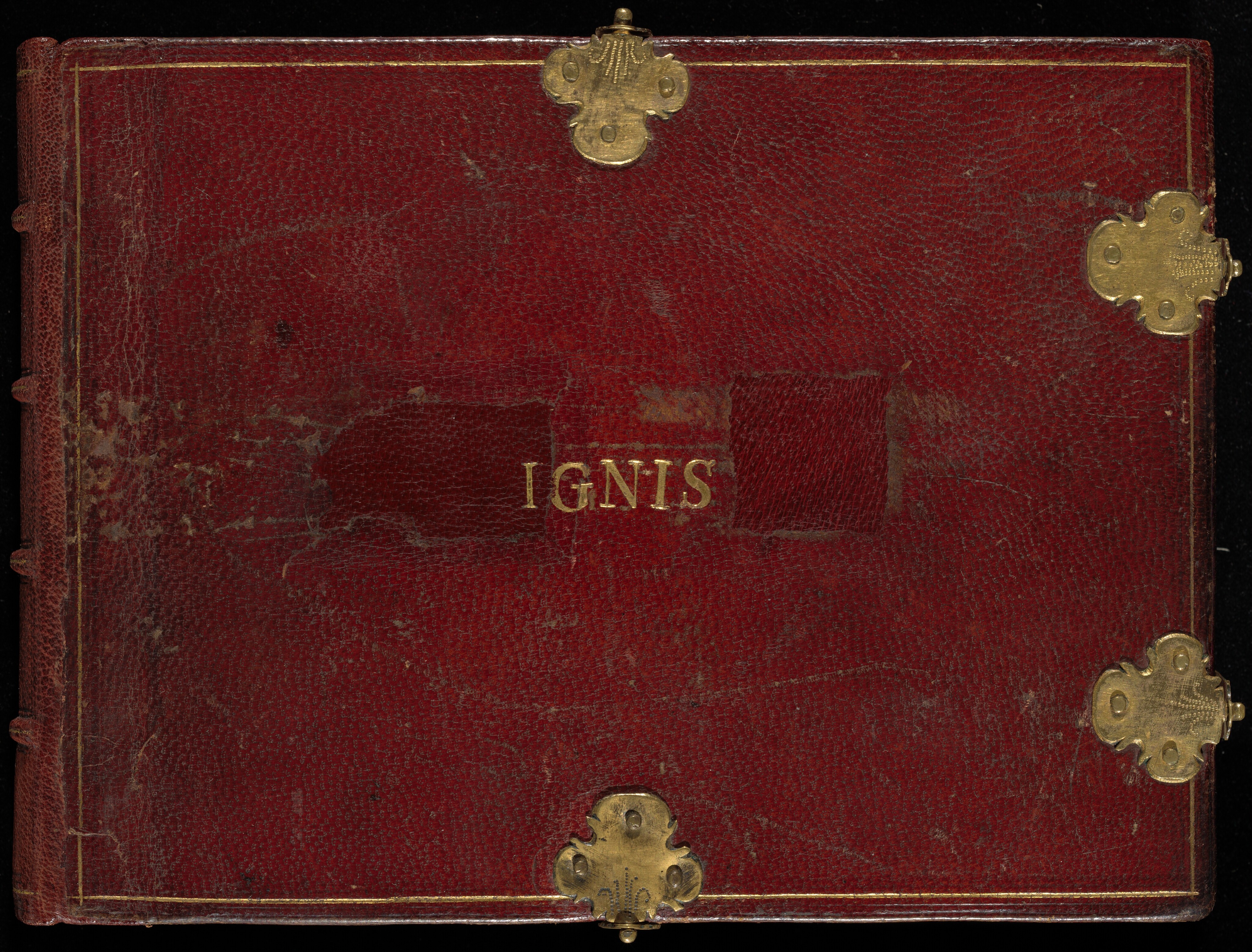 Animalia Rationalia et Insecta (Ignis) by Joris Hoefnagel