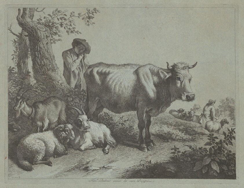 Standing Cow and a Shepherd Boy with Flock