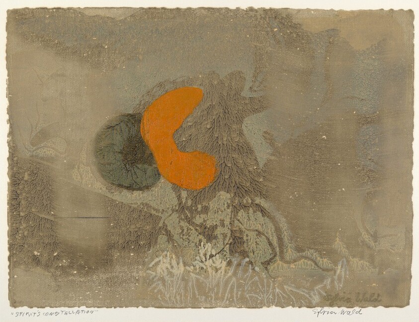 Spirit's Constellation