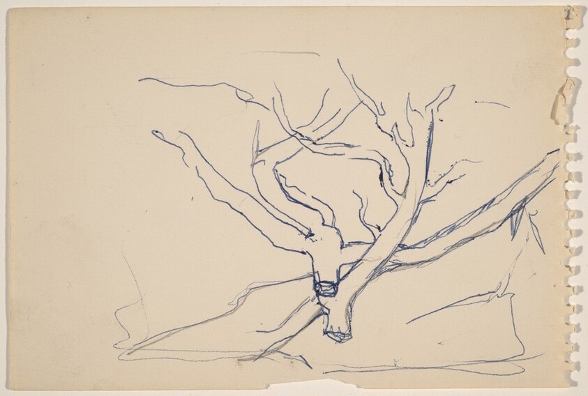Study of a Dead Tree