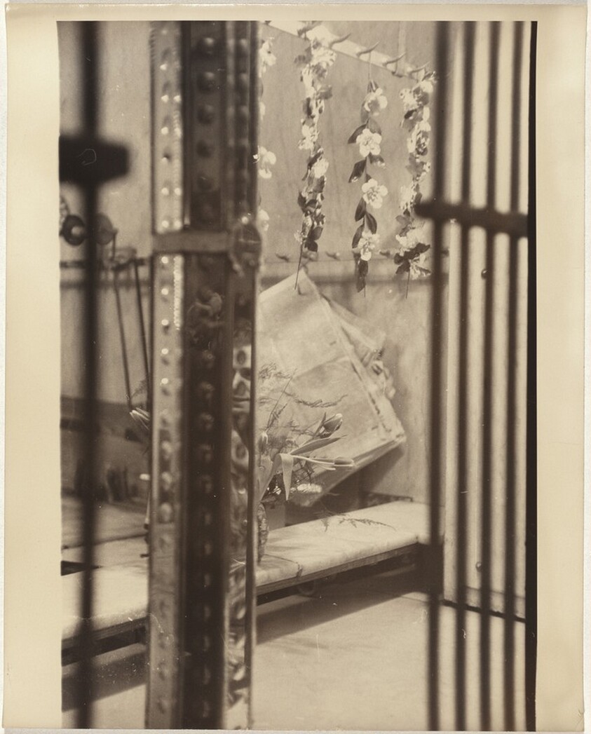 Hanging flowers in store window, Paris