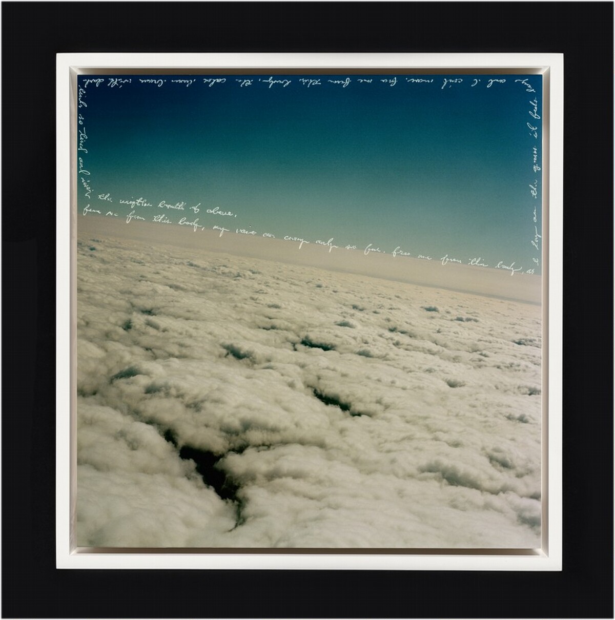 Free me from this body, my voice can carry only so far. Free me from this body, as I lay on the grass it feels heavy and I can't move. Free me from this body, the color burns brown with dark limbs so tired and missing the weightless breadth of above.