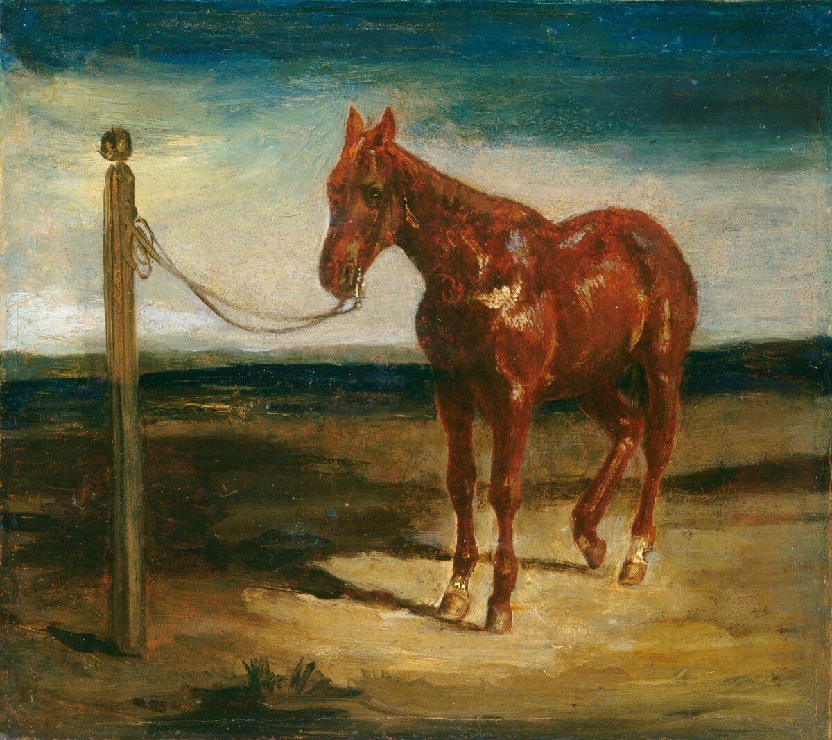 A Horse Hitched to a Post