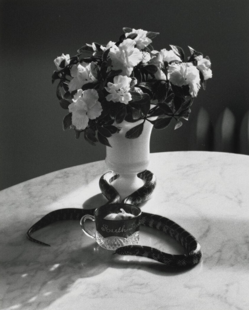 Snake and Mouse, New York