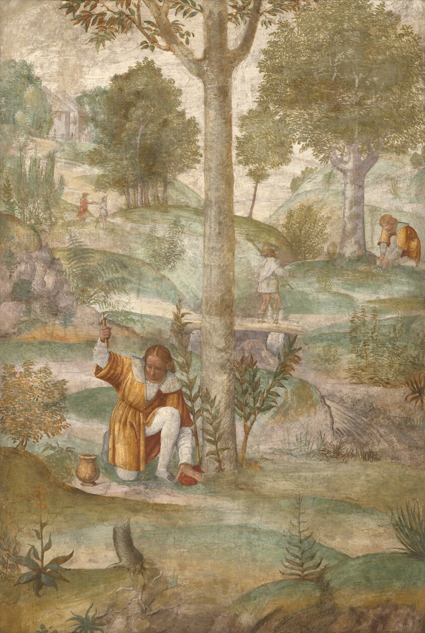 Cephalus Hiding the Jewels