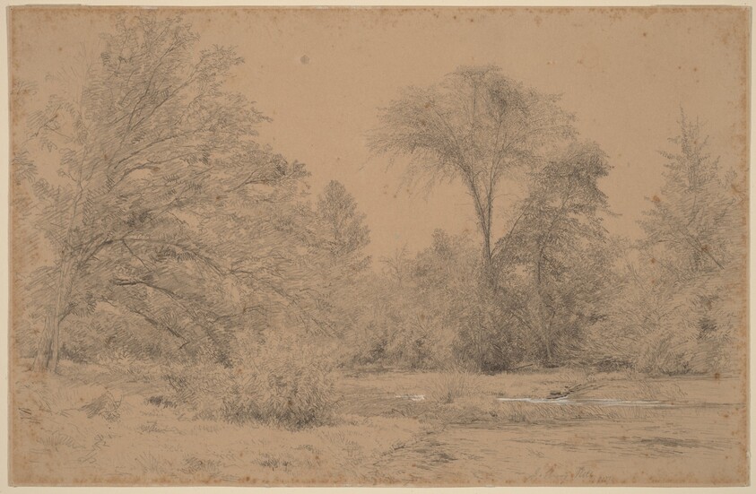 Landscape, Early Spring