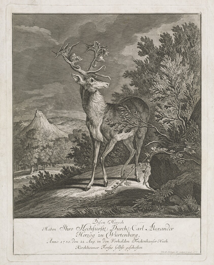 A Magnificent Stag in a Landscape
