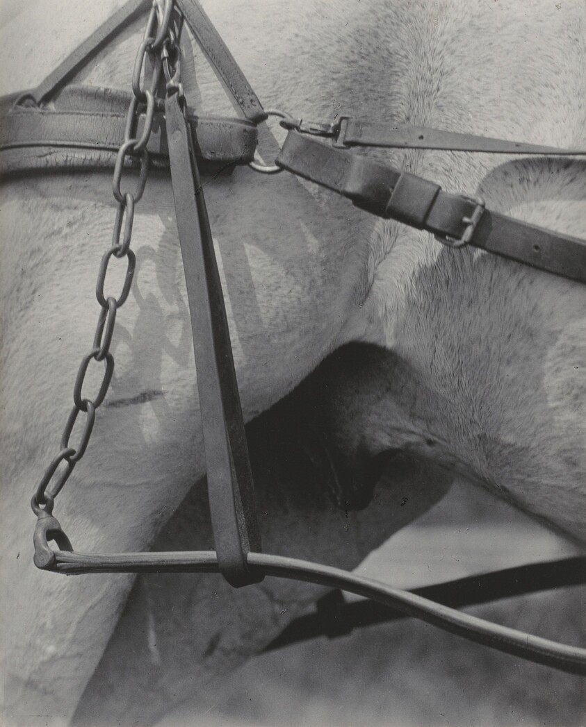 Spiritual America or Songs of the Sky A1