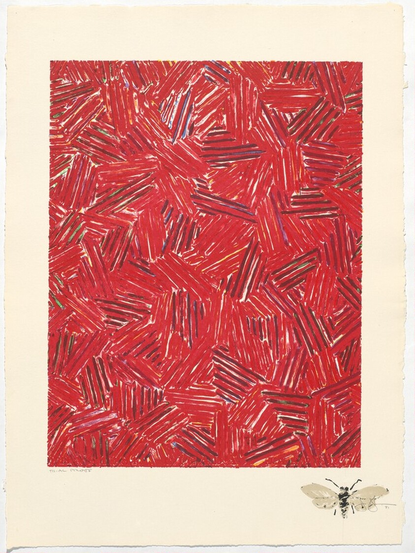 Cicada [trial proof]