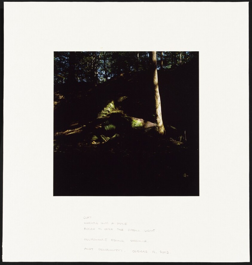 Clay/ Worked into a Stone/ Edges to Catch the Passing Light/ Government Island, Virginia