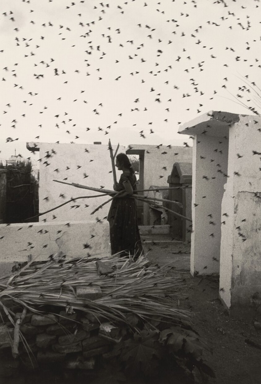 Cementerio, Juchitán, México (Cemetery, Juchitán, Mexico)