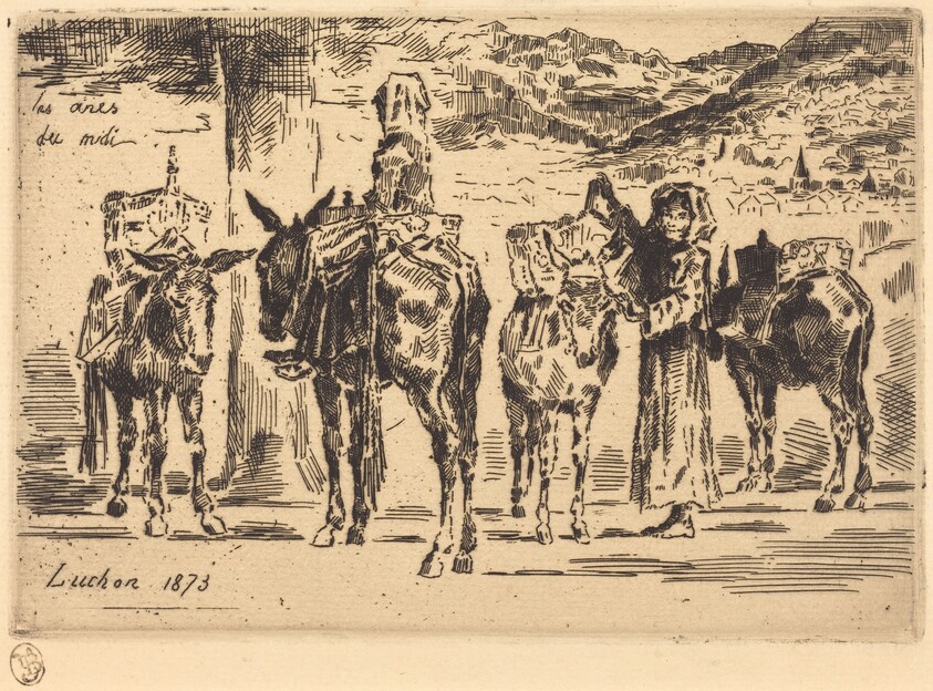 Feuilles d'Anes du Midi (Sheet of Donkeys from the South)