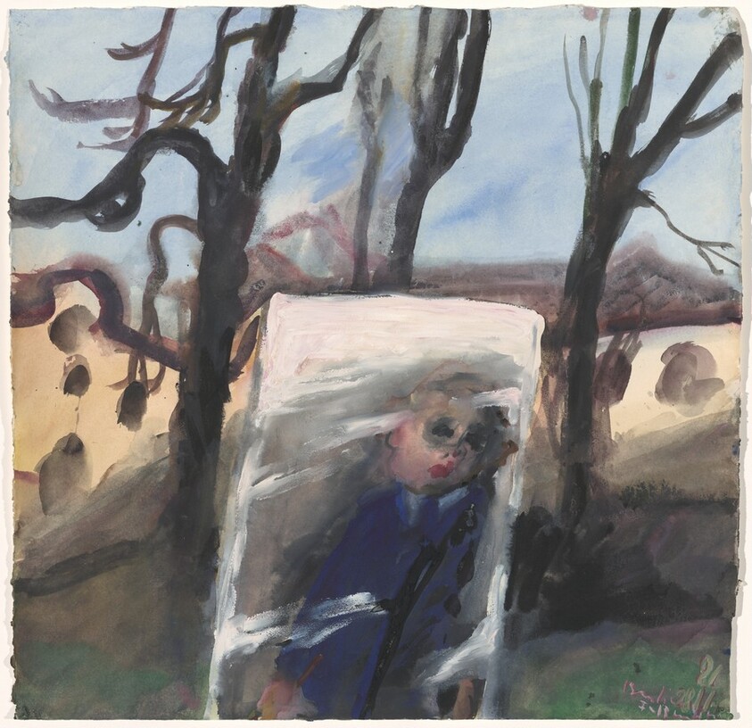 Self in Mirror in Landscape