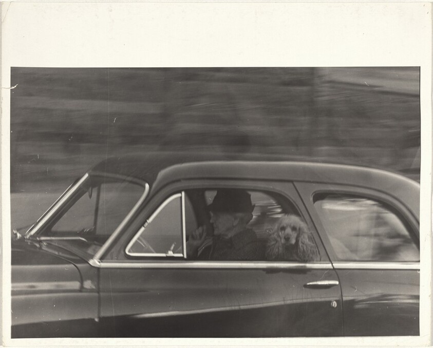 Woman with dog in automobile--New Mexico