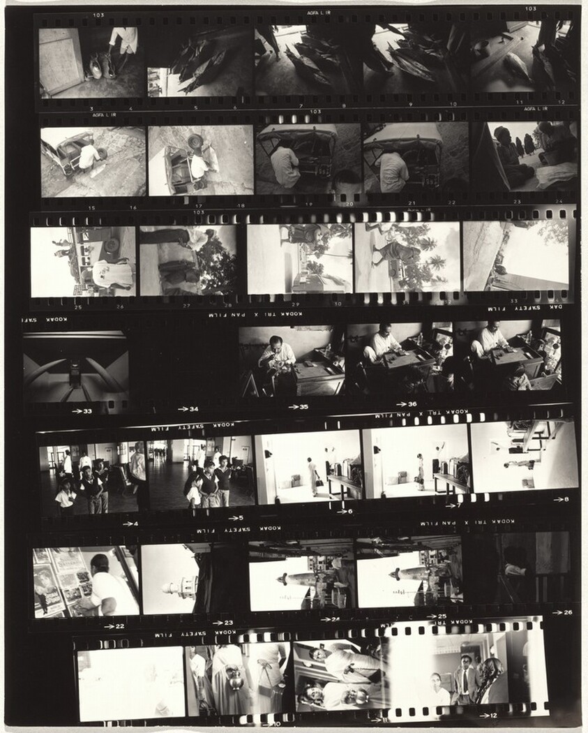 Mombasa and Nairobi--Africa 2