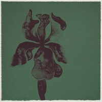 Flowers XI, Ruth Asawa, 1965