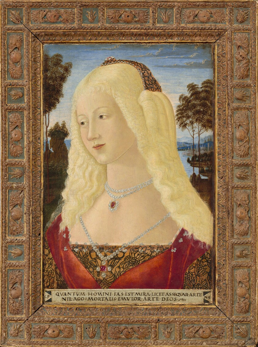 Portrait of a Lady