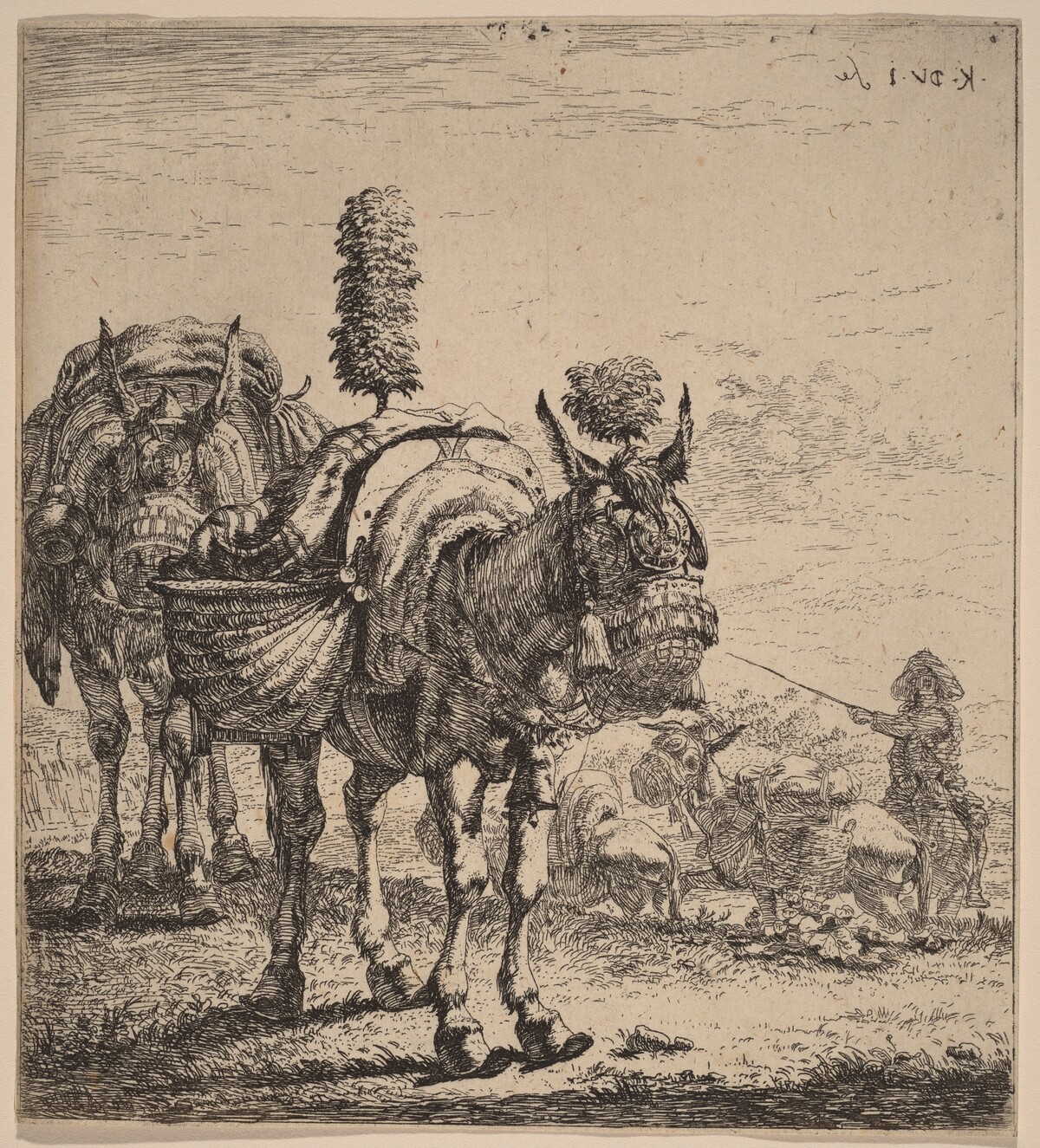 Two Mules