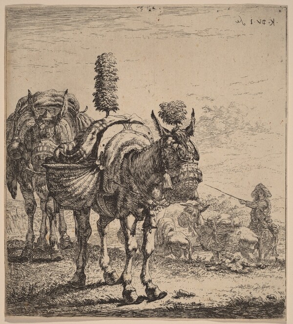 Two Mules
