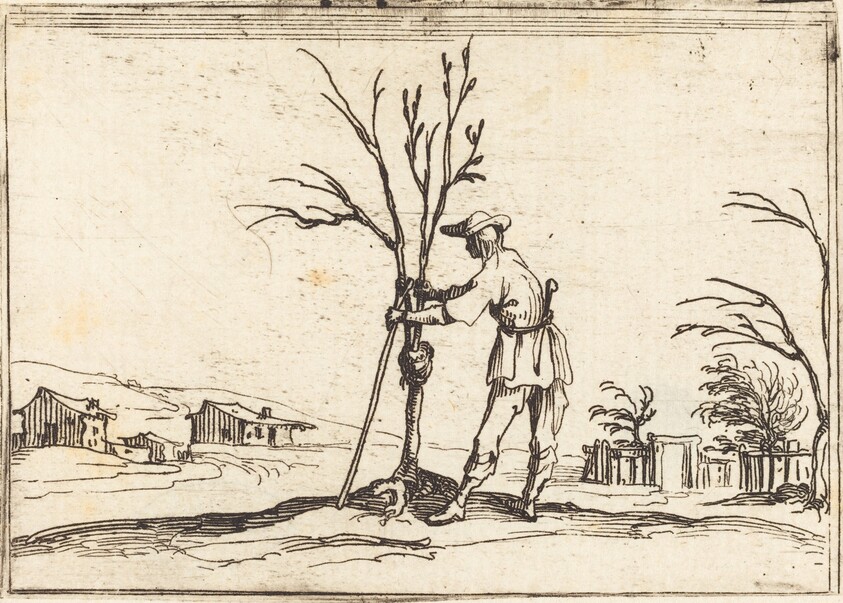 Gardener Pruning a Tree