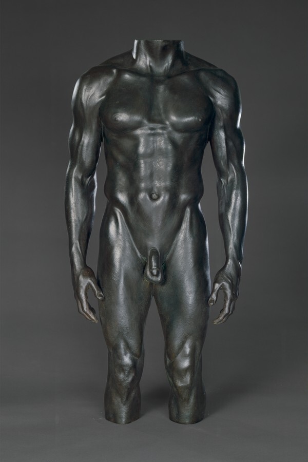 Olympic Torso (Male)