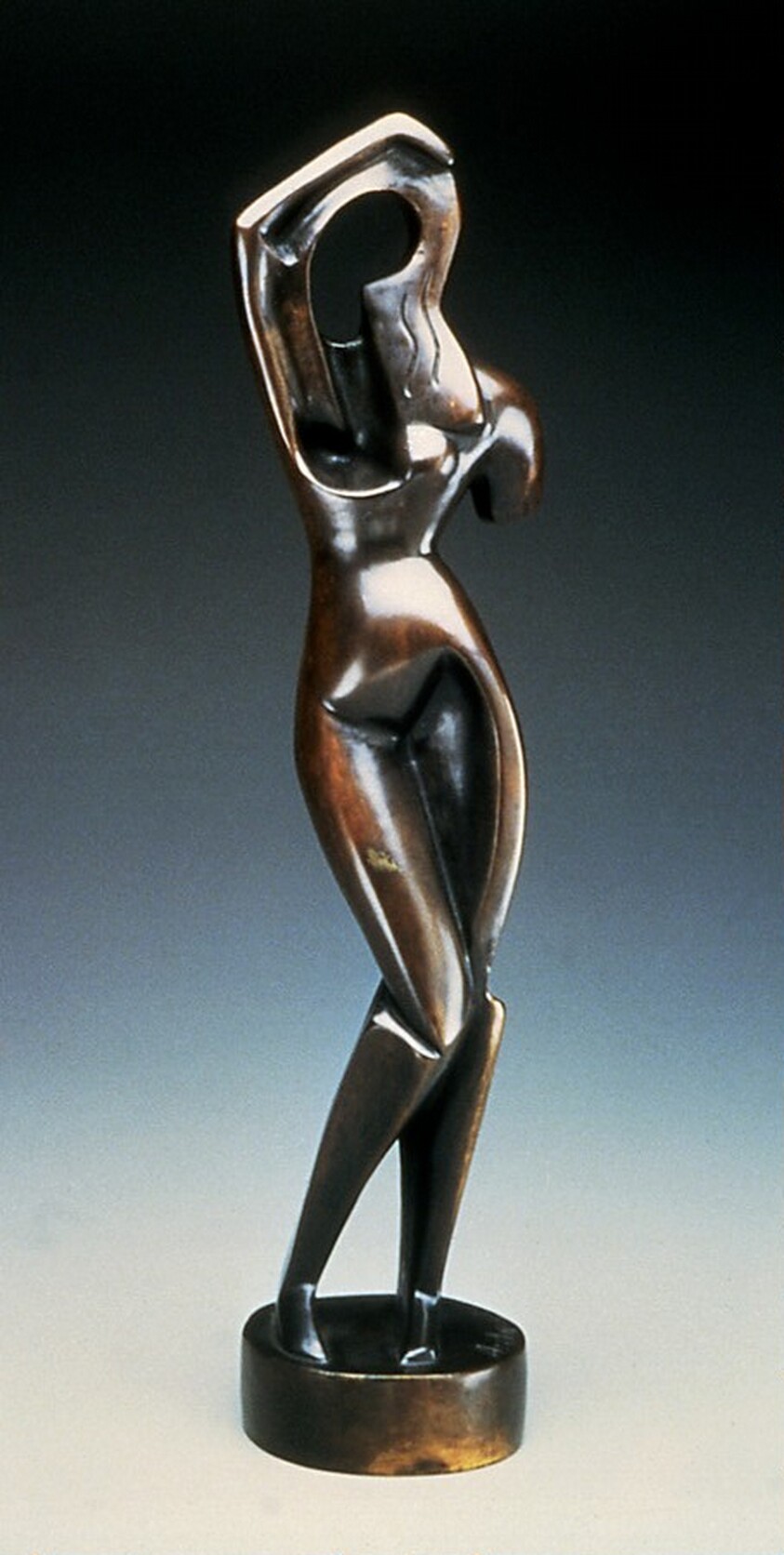 Woman Combing Her Hair