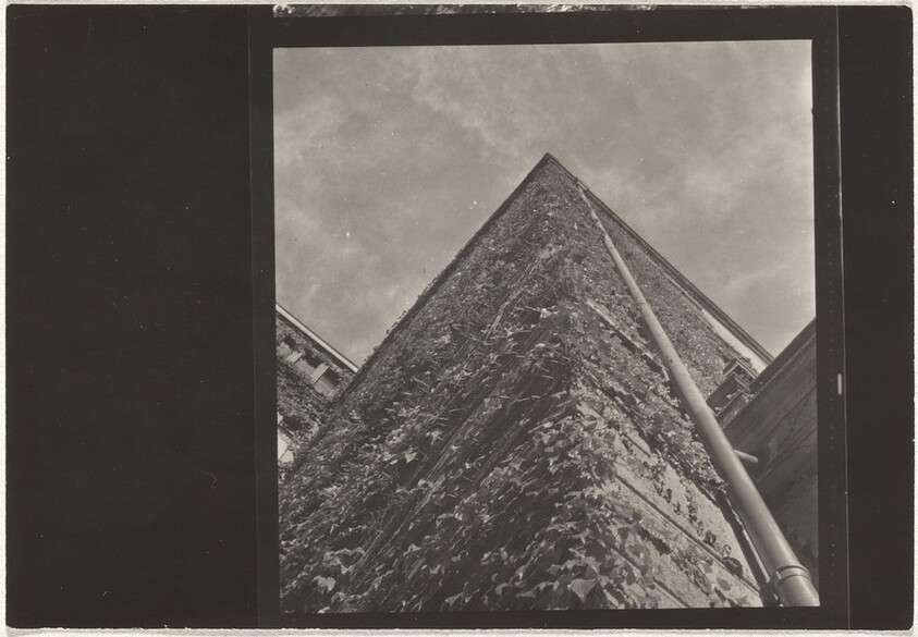 Ivy-covered walls--Architecture