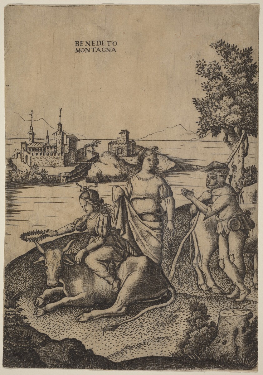 The Rape of Europa