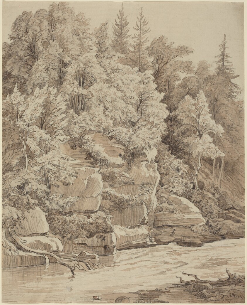Wooded Cliffs along a Stream