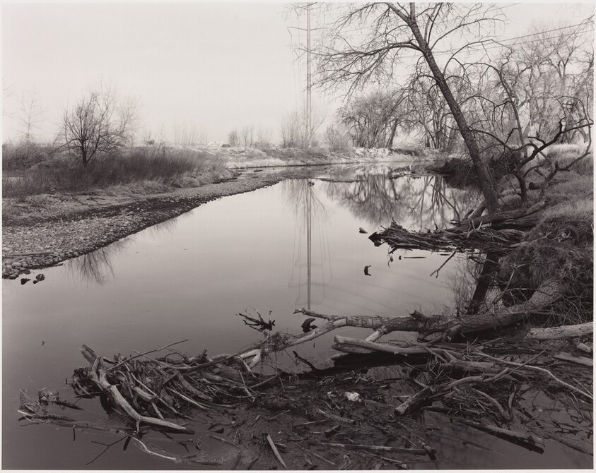 Spring Flood Debris, East of Fort Collins, Colorado (Cache la Poudre River)