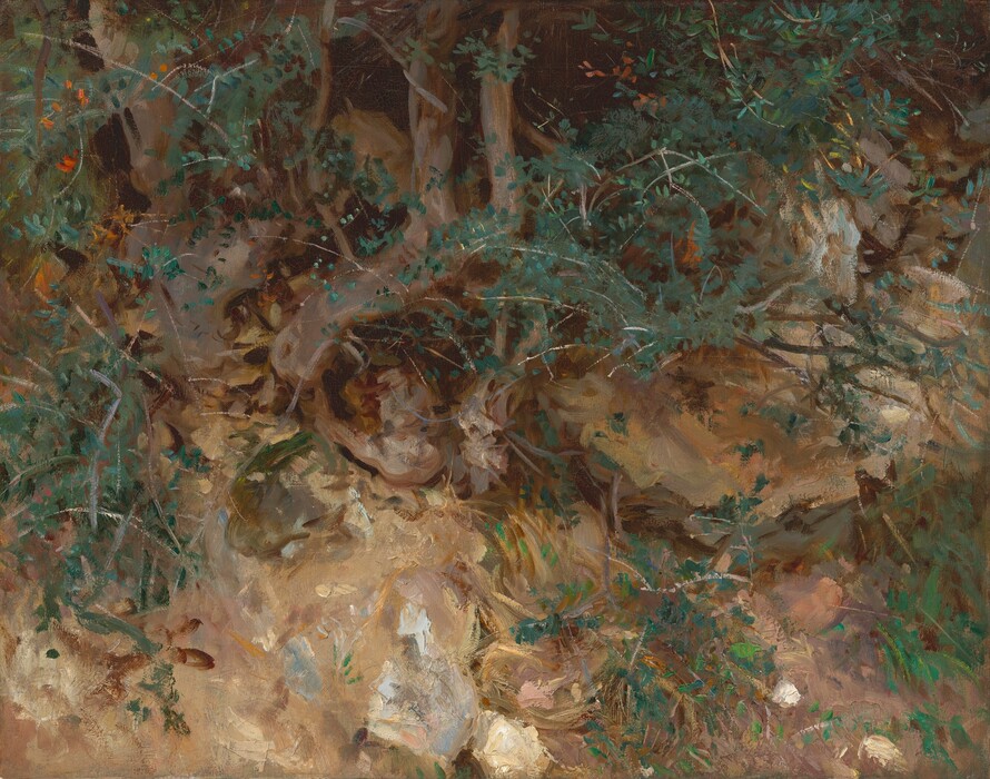 Gnarled, ash-brown roots woven through a muddy, rocky bank and sprays of dark green leaves fill this loosely painted, horizontal landscape. Touches of spring green in the lower right corner suggest ground cover. The roots grip the rocks in the top left quadrant of the composition, and layers of rocks pile to the right. The space behind the trees is dark brown, and a few touches of burnt orange suggest flowers or turning leaves.