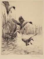 Fall Ducks, Richard Evett Bishop