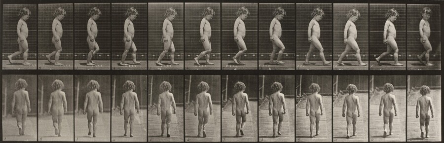 Plate Number 467. Child walking