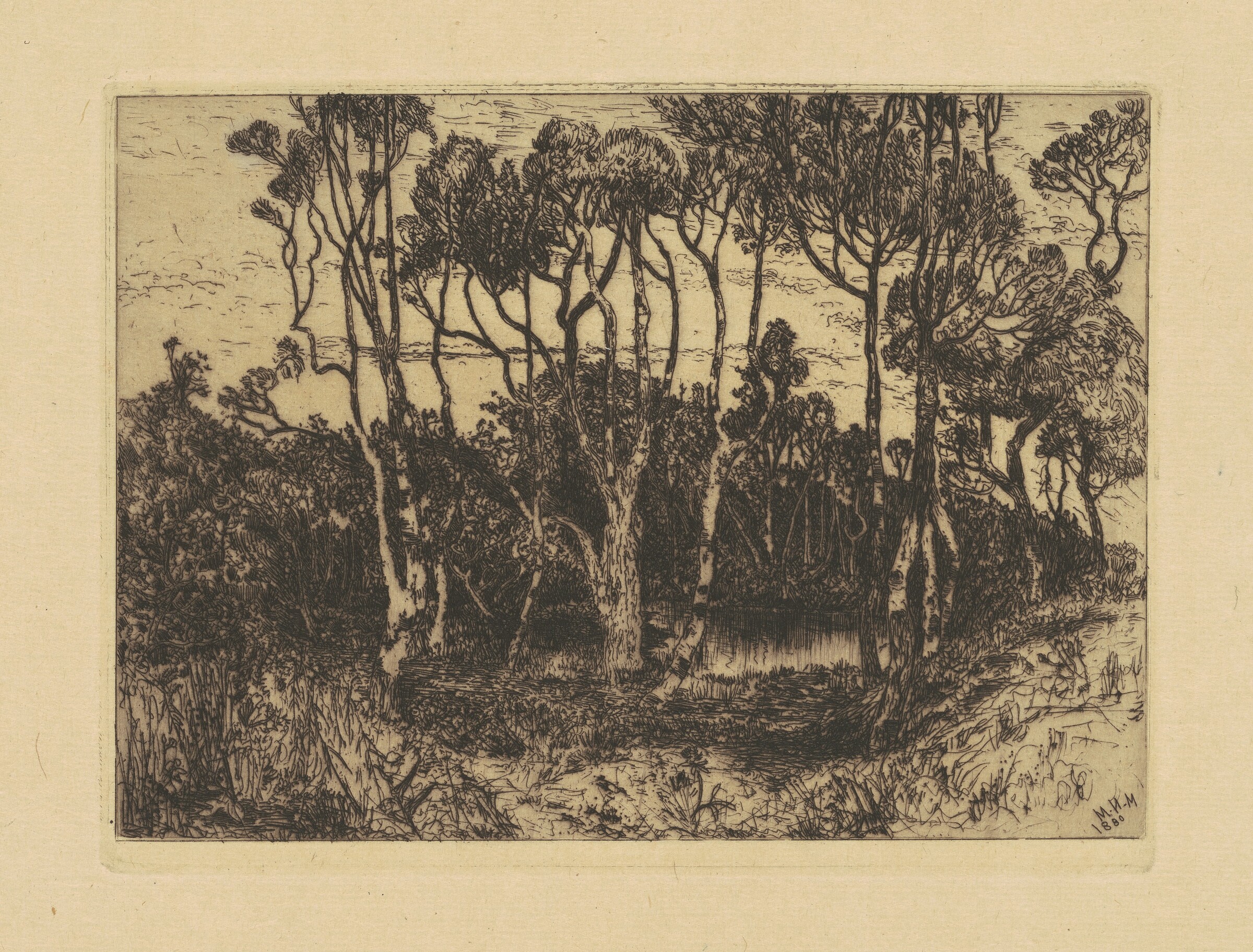 Solitude, Mary Nimmo Moran, 1880