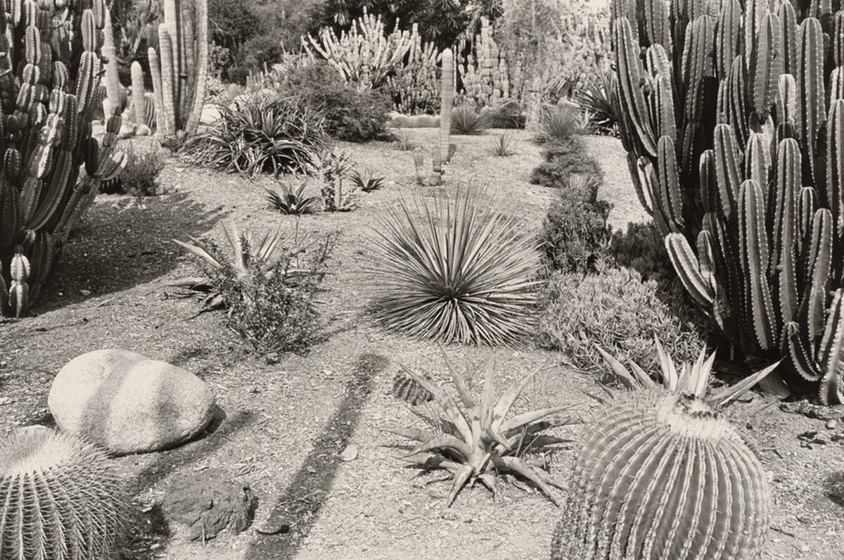 Huntington Gardens, California